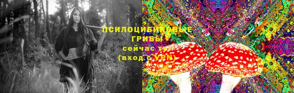 прущая мука Верея